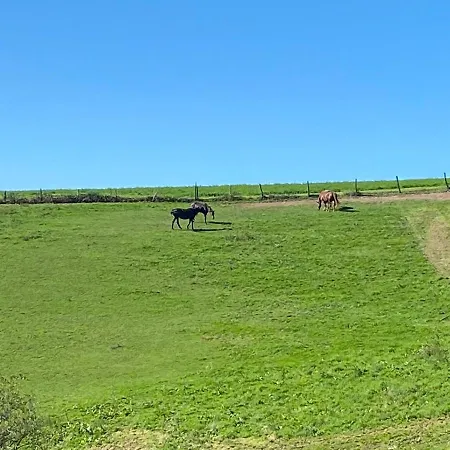 D'hotes Bessiard Accommodatie bij particulieren Laparrouquial