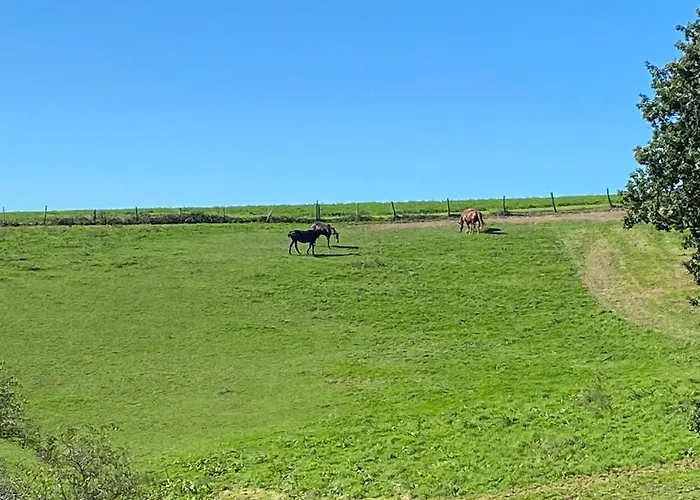 D'hotes Bessiard منزل للإقامة Laparrouquial